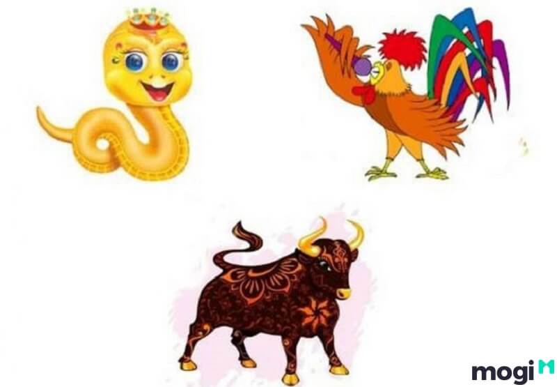 Tam Hợp của tuổi Tỵ gồm có: Tỵ (Rắn) – Dậu (Gà) – Sửu (Trâu).