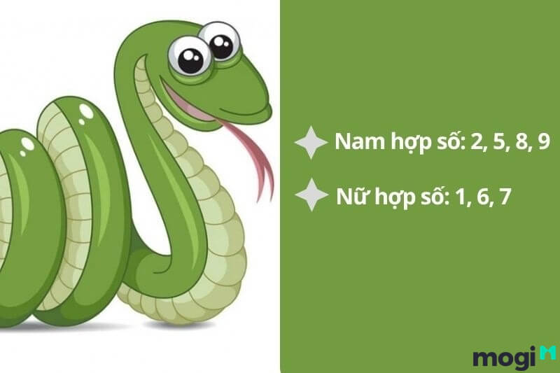 Quý Tỵ 2013 tùy theo nam hay nữ mà số hợp sẽ khác nhau.