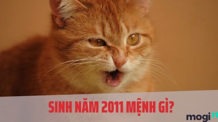 2011 mệnh gì?