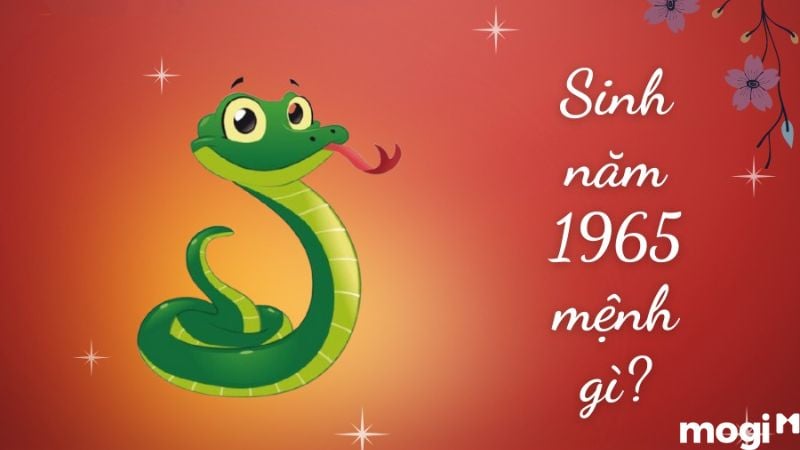 1965 tuổi gì