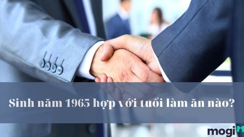 1965 tuổi gì