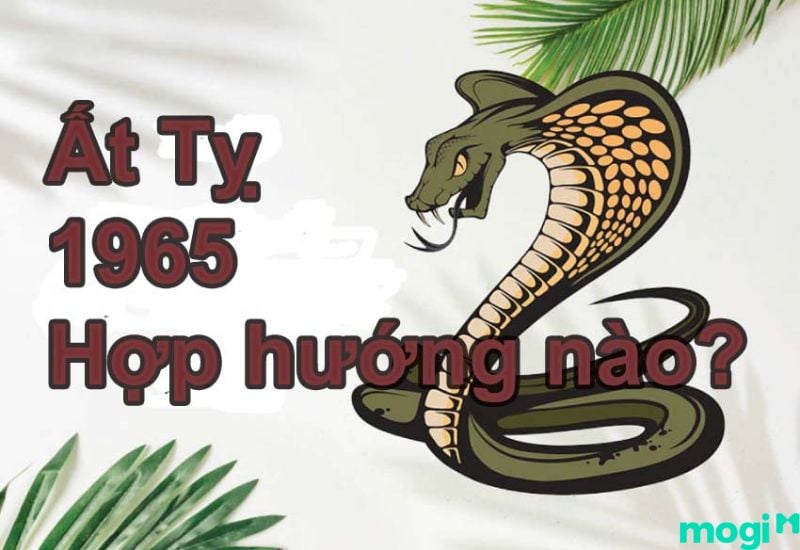 1965 tuổi gì