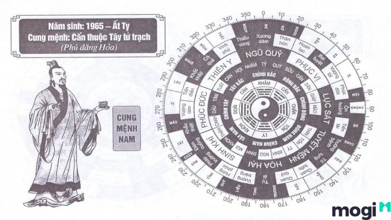 1965 tuổi gì