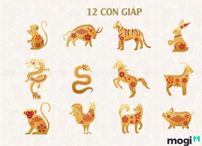 Dần là con gì trong 12 con giáp thực ra cũng không xa lạ với mọi người