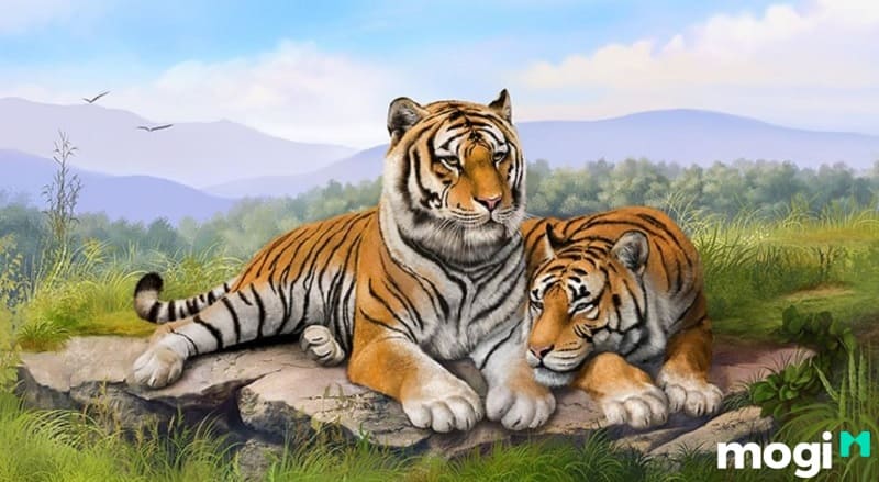 Dần là con gì? Những người tuổi Dần sinh năm 1998 là những người có tính cách khá cứng rắn