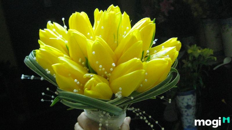 Ý Nghĩa Hoa Tulip Theo Màu Sắc, Nên Tặng Ai Và Tặng Vào Dịp Nào? 7 Ý nghĩa hoa tulip vàng