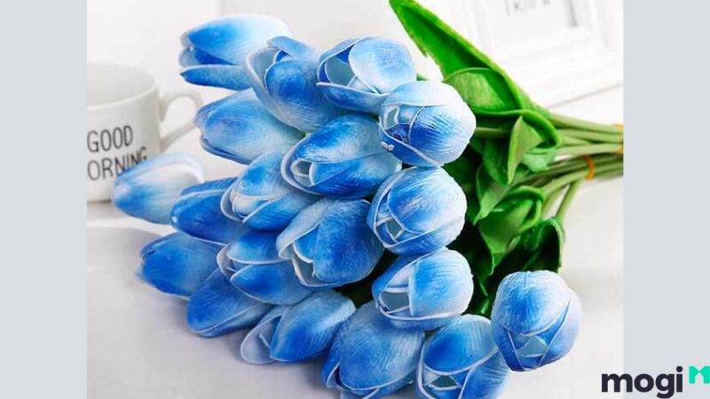 Ý Nghĩa Hoa Tulip Theo Màu Sắc, Nên Tặng Ai Và Tặng Vào Dịp Nào? 11 Ý nghĩa hoa tulip xanh