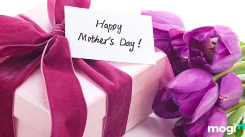 Ý Nghĩa Hoa Tulip Theo Màu Sắc, Nên Tặng Ai Và Tặng Vào Dịp Nào? 16 Tặng hoa tulip vào ngày của mẹ