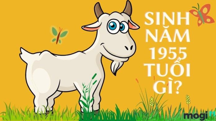 1955 tuổi gì