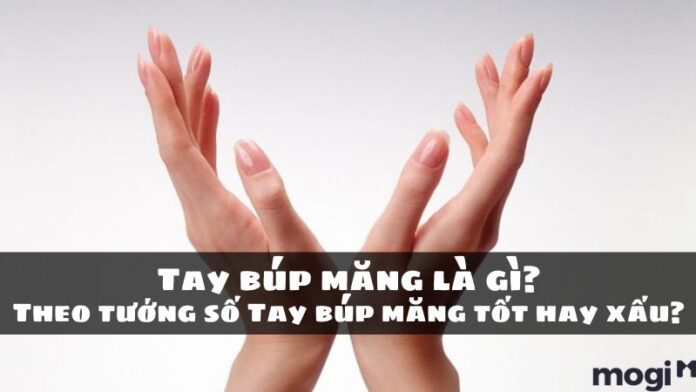 tay búp măng