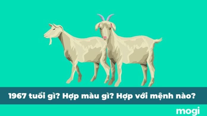 Sinh Năm 1967 Mệnh Gì? Bật Mí Tất Tần Tật Tử Vi Người Sinh Năm 1967
