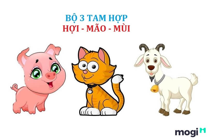 1967 hợp tuổi nào 