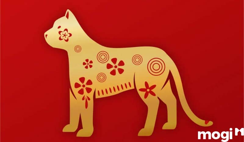 Bảng sao hạn tuổi Mão