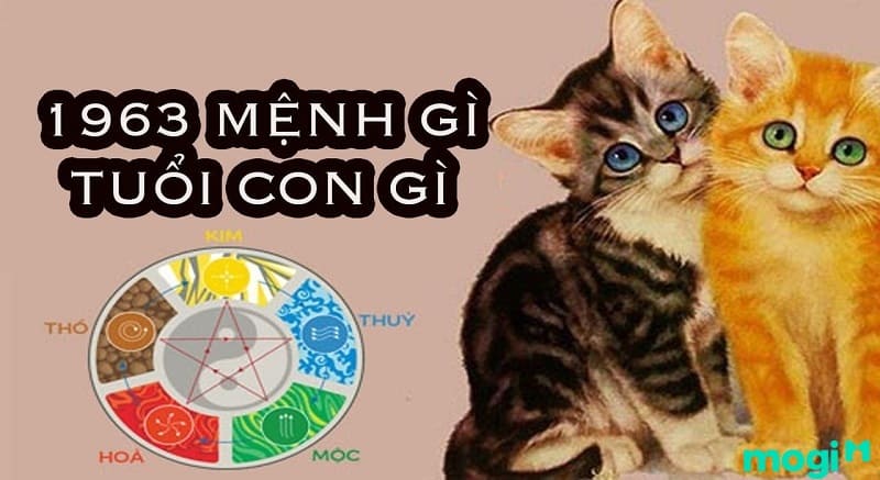 1963 tuổi gì