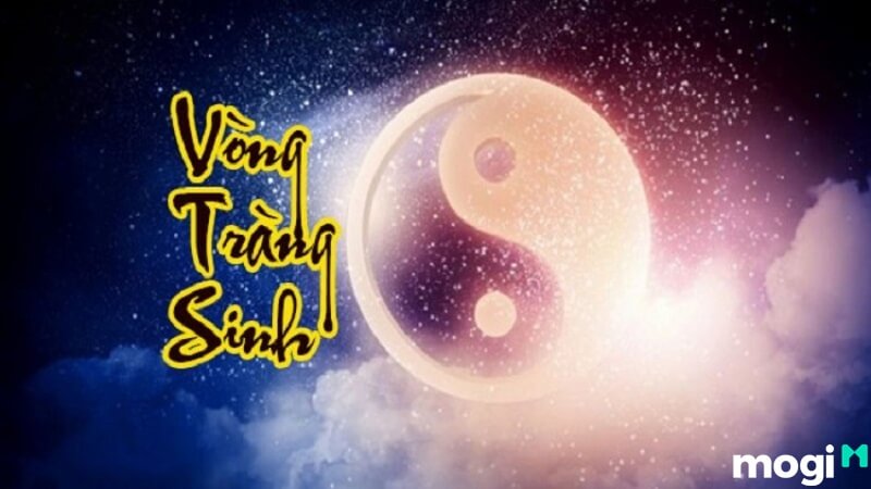 Vòng Tràng Sinh Là Gì? Ý Nghĩa, Công Dụng Và Cách Sử Dụng Chính Xác 1 vòng tràng sinh