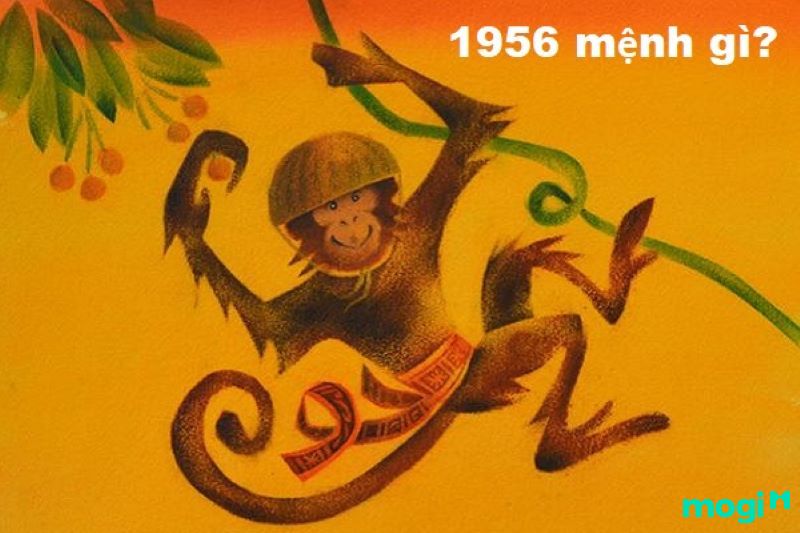 1956 tuổi gì