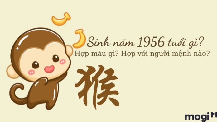 1956 tuổi gì
