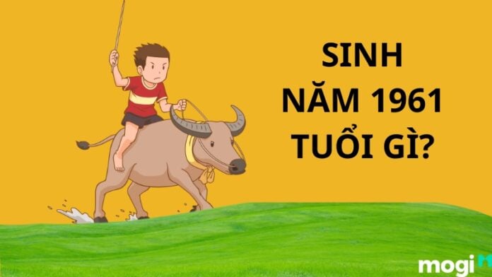 1961 tuổi gì