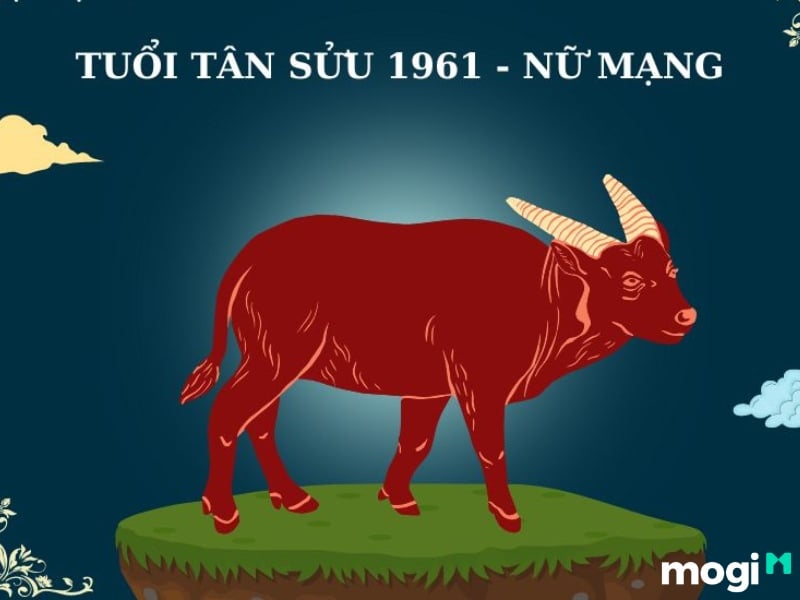 1961 tuổi gì
