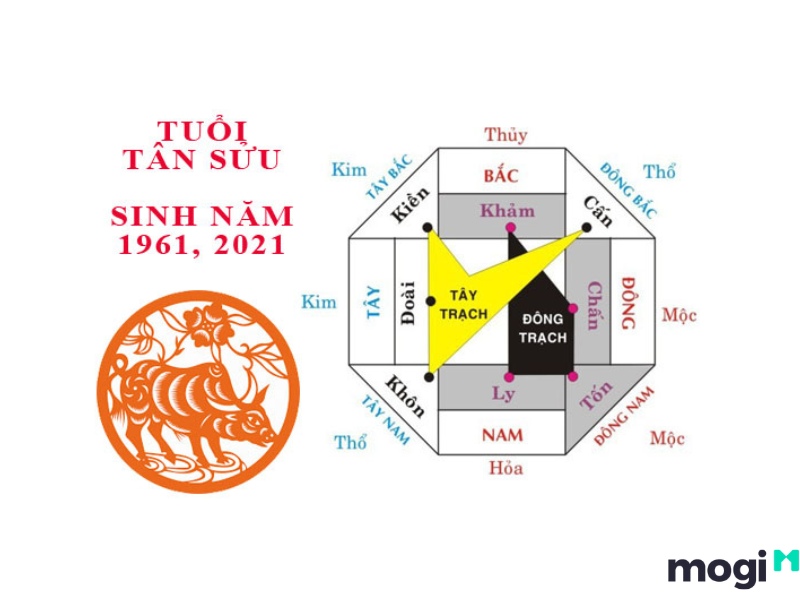 1961 tuổi gì