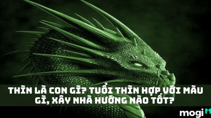 thin-la-con-gi-17 thìn là con gì