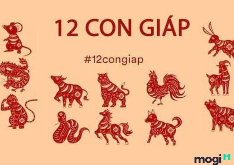 Thìn Là Con Gì? Luận giải chi tiết về bản mệnh của người tuổi Thìn 1 thìn là con gì