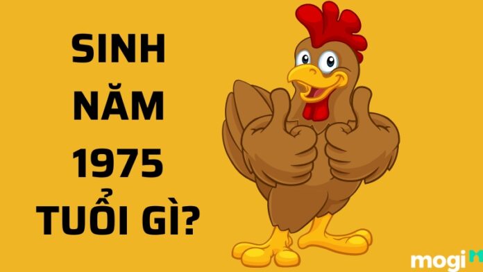 Sinh Năm 1957 Tuổi Gì?