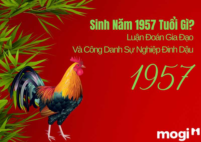 Nữ 1957 tuổi gì? Luận đoán gia đạo và công danh sự nghiệp của nữ Đinh Dậu