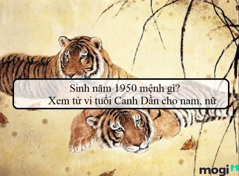 1950 tuổi gì 1950 tuổi gì