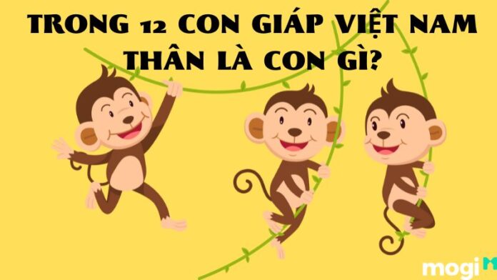 Thân là con gì?