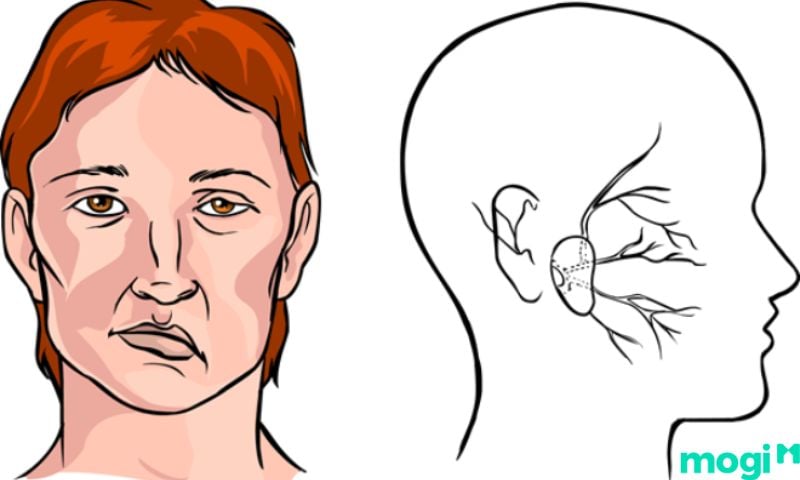 Giật Môi Là Báo Hiệu Điềm Gì? Giải Mã Hiện Tượng Giật Môi Chuẩn Xác Nhất 9 giật môi trên