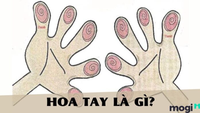 Hoa tay là gì?