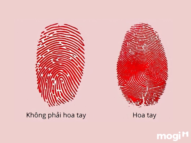 Hoa Tay Là Gì? Luận Đoán Vận Mệnh Của Mỗi Người Qua Cách Bói Hoa Tay 2 Hoa tay là gì?