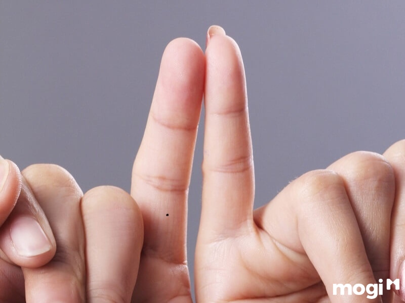 Hoa Tay Là Gì? Luận Đoán Vận Mệnh Của Mỗi Người Qua Cách Bói Hoa Tay 4 Hoa tay là gì?