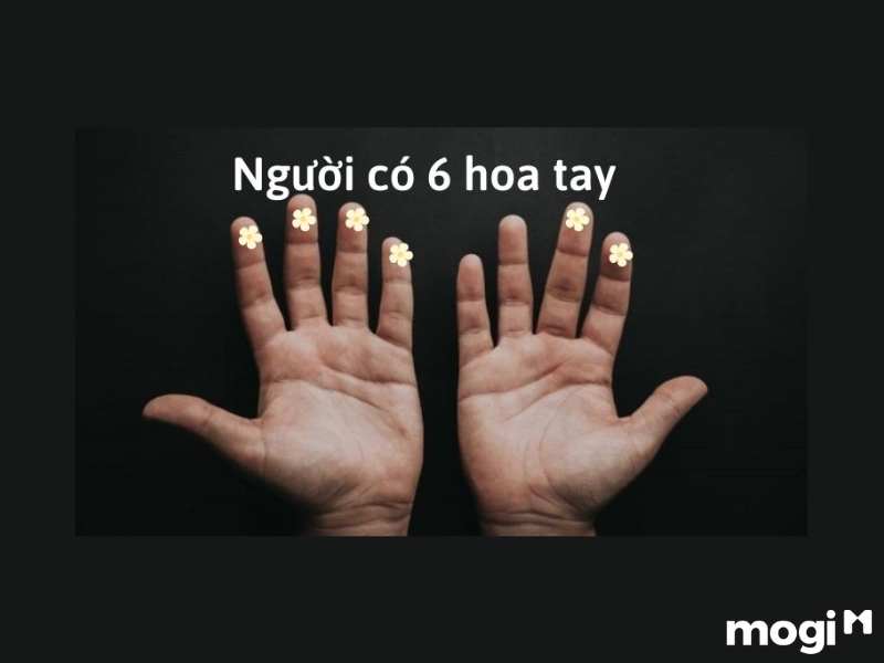 Hoa Tay Là Gì? Luận Đoán Vận Mệnh Của Mỗi Người Qua Cách Bói Hoa Tay 7 Hoa tay là gì?