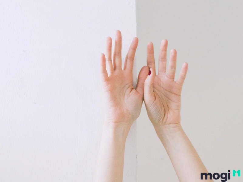 Hoa Tay Là Gì? Luận Đoán Vận Mệnh Của Mỗi Người Qua Cách Bói Hoa Tay 11 Hoa tay là gì?