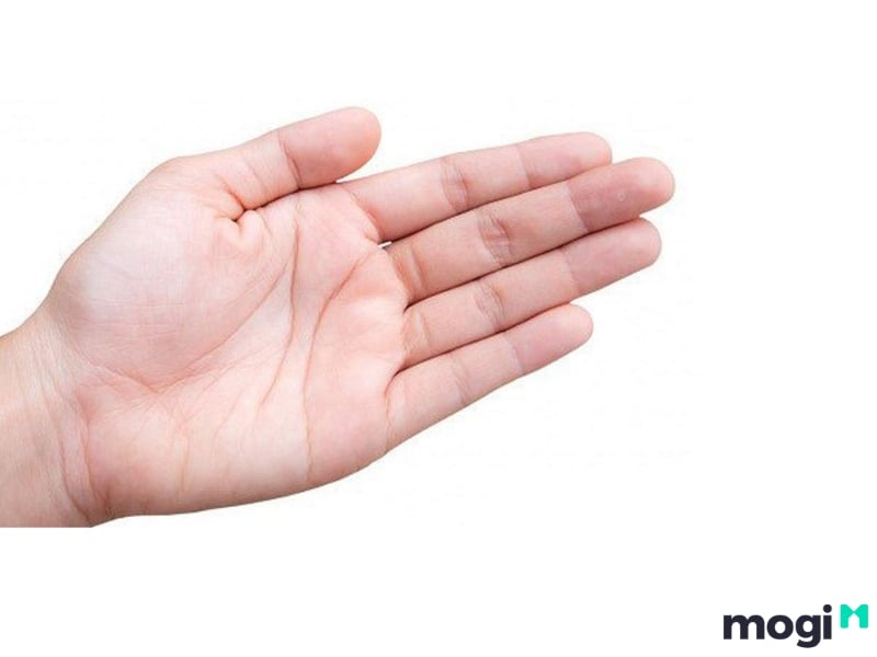 Hoa Tay Là Gì? Luận Đoán Vận Mệnh Của Mỗi Người Qua Cách Bói Hoa Tay 14 Hoa tay là gì?