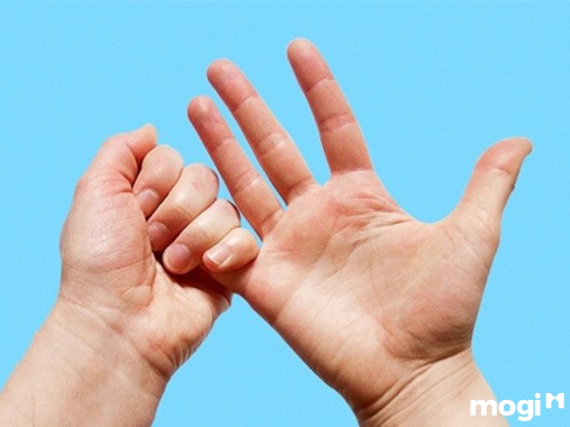 Hoa Tay Là Gì? Luận Đoán Vận Mệnh Của Mỗi Người Qua Cách Bói Hoa Tay 15 Hoa tay là gì?