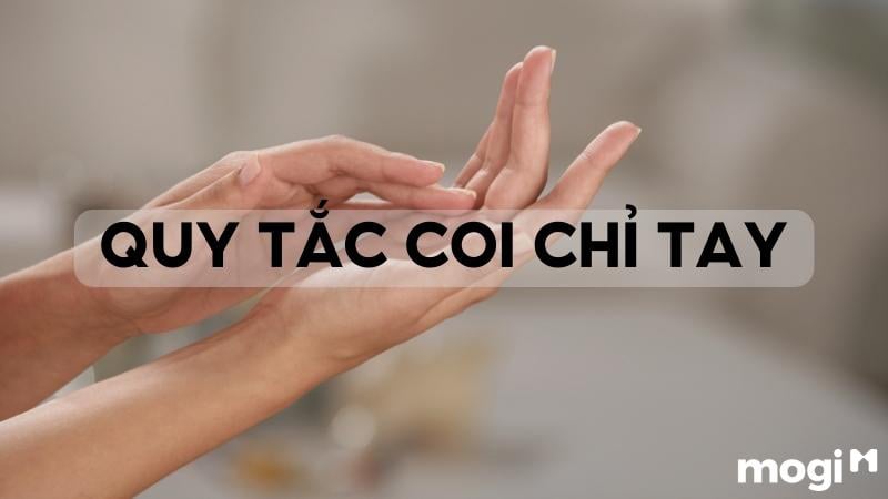 coi chỉ tay