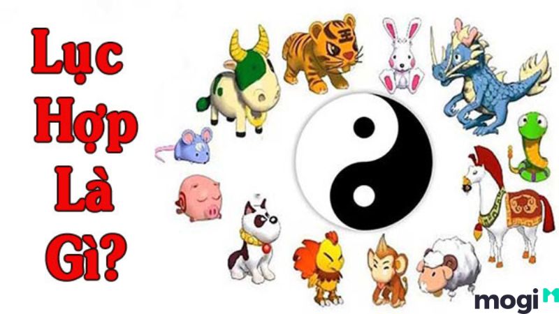 lục hợp là gì