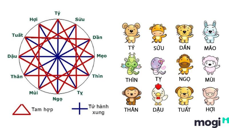 lục hợp là gì