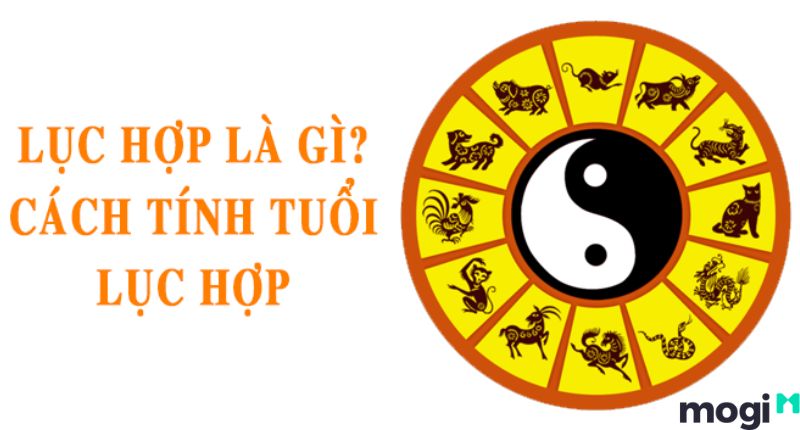 lục hợp là gì