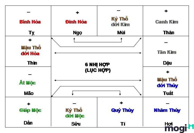 lục hợp là gì