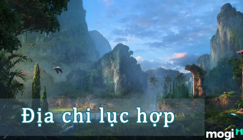 lục hợp là gì