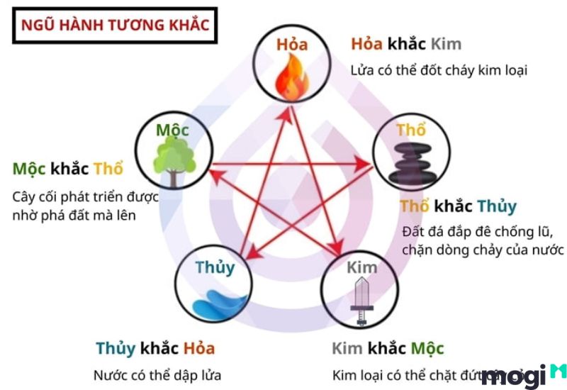 lục hợp là gì