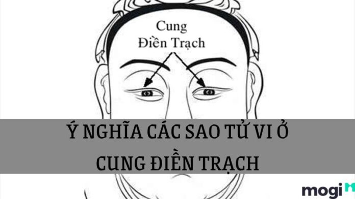 Luận giải chi tiết về cung Điền Trạch