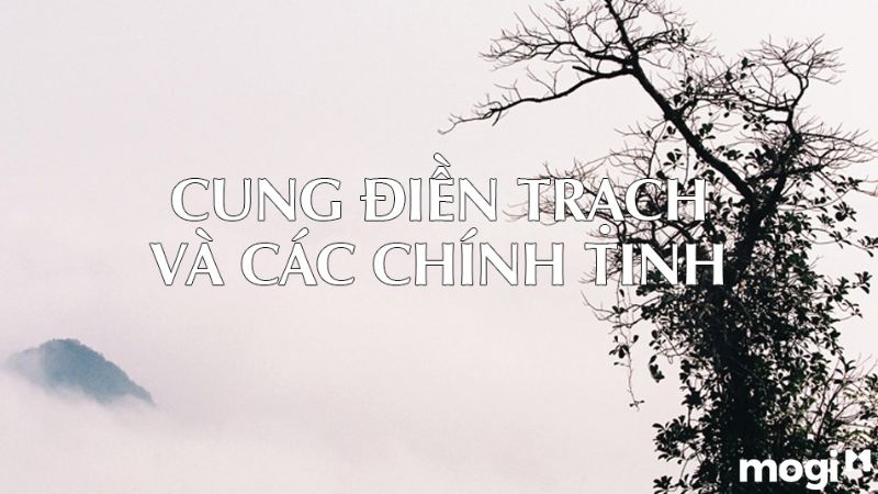 Các chính tinh tọa Điền Trạch