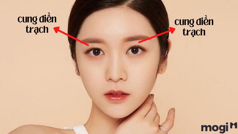 Vị trí cung Điền Trạch
