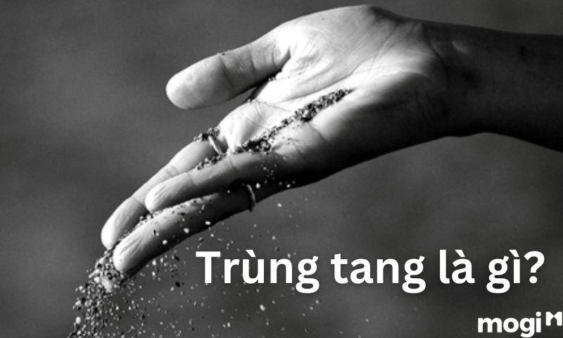 Trùng tang là gì?