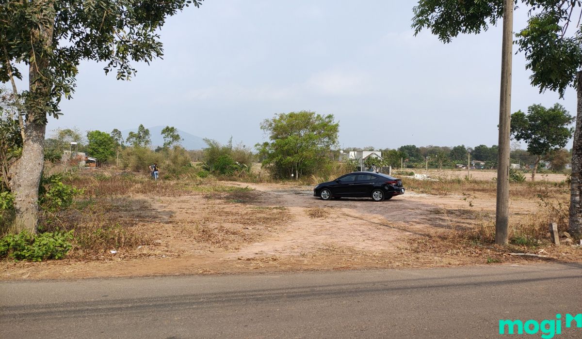 Vì sao nên cho thuê đất Bình Tân